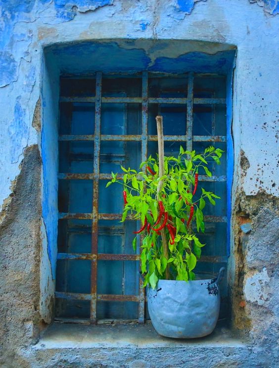 Blue Window in Sardinia